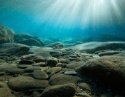 what causes ocean acidification