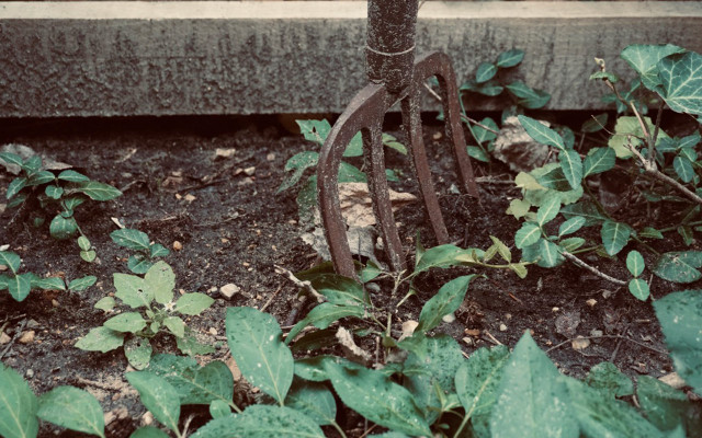 Share reuse products garden pitchfork Share reuse products garden pitchfork