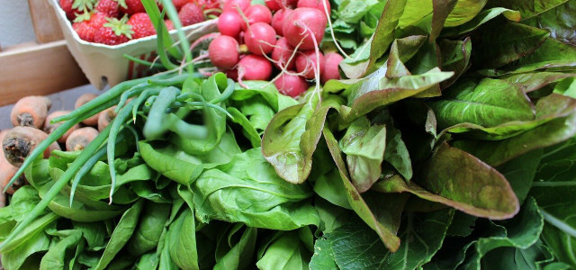 what are csa farms