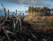 Movies about sustainability