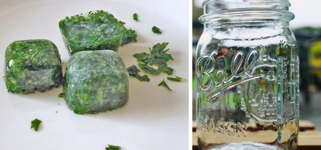 Freeze food without plastic sustainable kitchen tips household hacks mason jar spinach