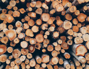 treated vs. untreated wood