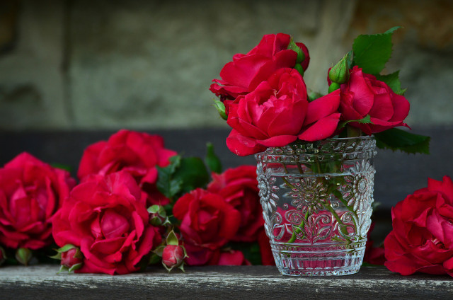 steer-clear-of-rose-water-if-you-have-any-sensitiv-cc0-pixabay-congerdesign-230609_download Steer clear of rose water if you have any sensitivity to rose pollen or its oils.