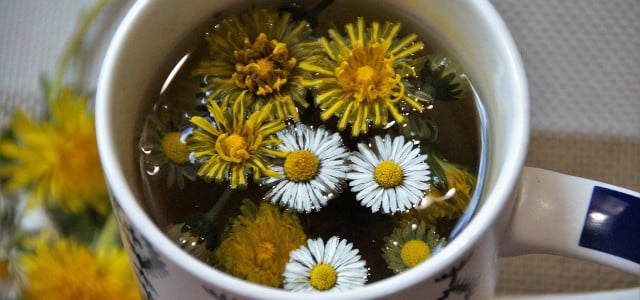 coffee substitute