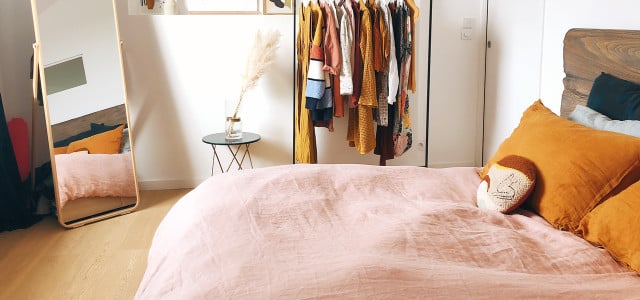 Best Way to get rid of bed bugs sustainable methods
