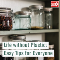 life-without-plastic-easy-tipps-us-191125-1000x1000 Life without Plastic: Easy Tips for Everyone