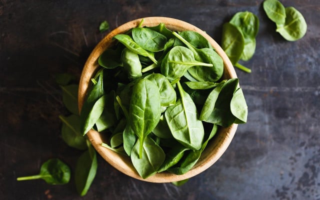 freezing basil