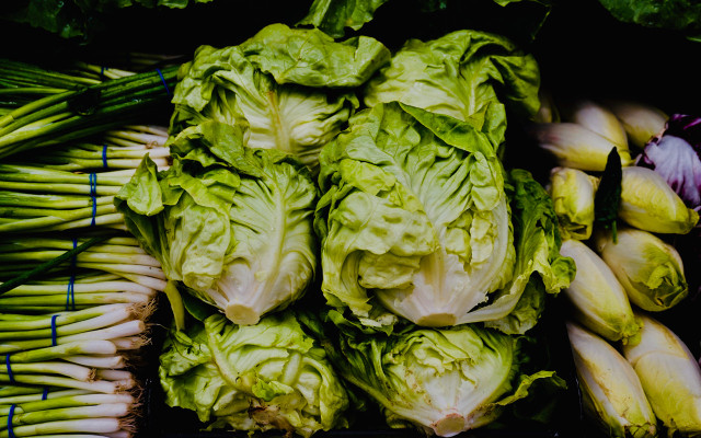 Foods you can't store in the freezer lettuce leafy greens