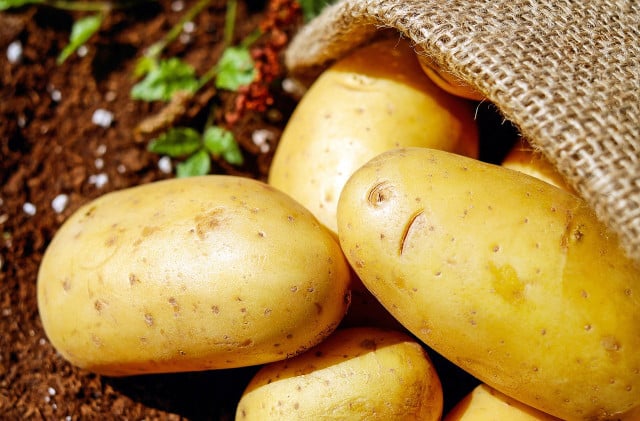 can you eat green potatoes can you eat green potatoes