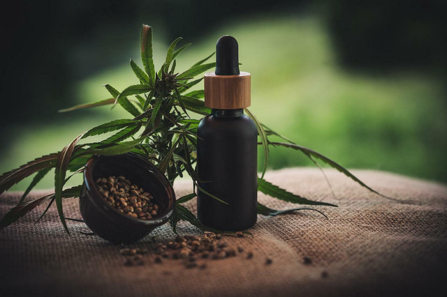 check-out-weeds-as-a-superfood-for-energy-and-sust-cc0-pixabay-cbd-infos-com-220526_download Check out weeds as a superfood for energy and sustainability.