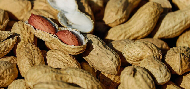 Peanut butter alternatives