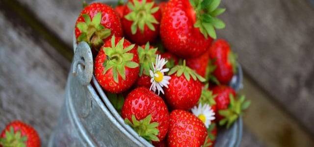 how to freeze strawberries