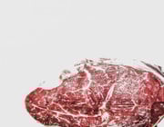 are humans supposed to eat meat
