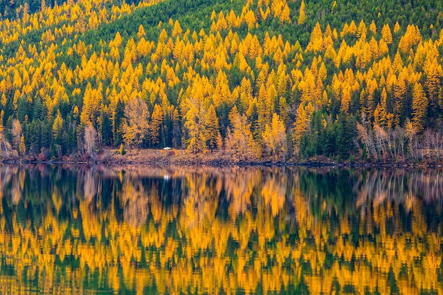 The Spire Rock area is glorious in the fall. 
