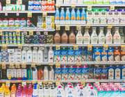 Vegan Food Alternatives