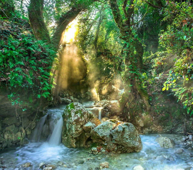 lawsuits-pursuing-the-legal-protection-of-nature-a-cc0-pixabay-atlantios-220506_download Lawsuits pursuing the legal protection of nature are gaining traction in the U.S..