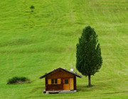 tiny eco homes