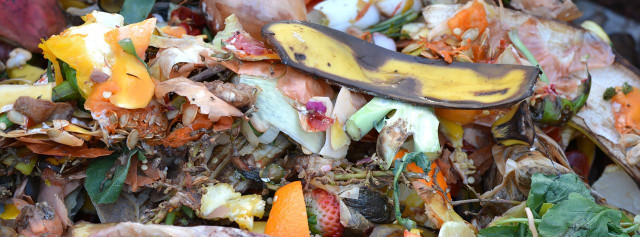 You can make plant food with whatever food scraps you have at home.