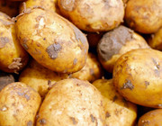 can you eat raw potatoes
