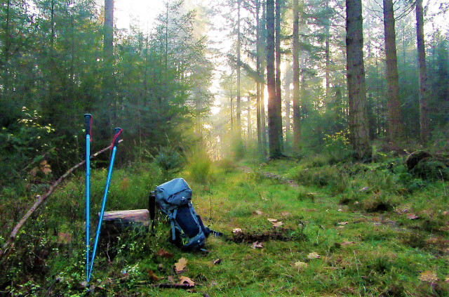 walking-sticks-will-make-hiking-in-the-rain-much-e-cc0-pixabay-fotorieth-220406_download Walking sticks will make hiking in the rain much easier.