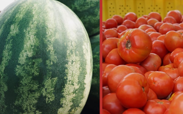 Foods you can't freezer water-rich fruits vegetables watermelon tomatoes Foods you can't freezer water-rich fruits vegetables watermelon tomatoes